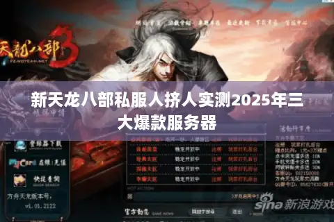 新天龙八部私服人挤人实测2025年三大爆款服务器