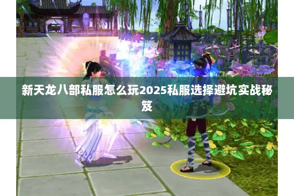 新天龙八部私服怎么玩2025私服选择避坑实战秘笈