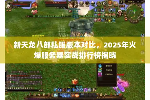 新天龙八部私服版本对比，2025年火爆服务器实战排行榜揭晓