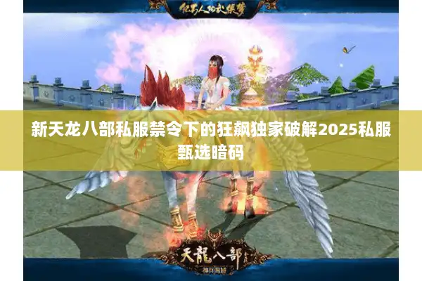 新天龙八部私服禁令下的狂飙独家破解2025私服甄选暗码