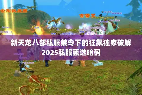 新天龙八部私服禁令下的狂飙独家破解2025私服甄选暗码