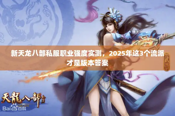 新天龙八部私服职业强度实测，2025年这3个流派才是版本答案