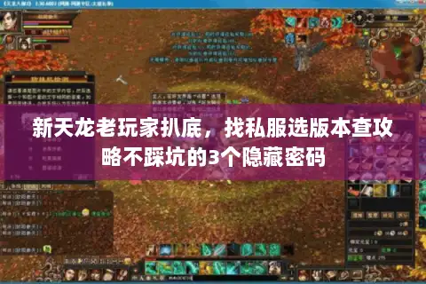 新天龙老玩家扒底，找私服选版本查攻略不踩坑的3个隐藏密码
