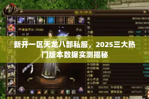 新开一区天龙八部私服，2025三大热门版本数据实测揭秘