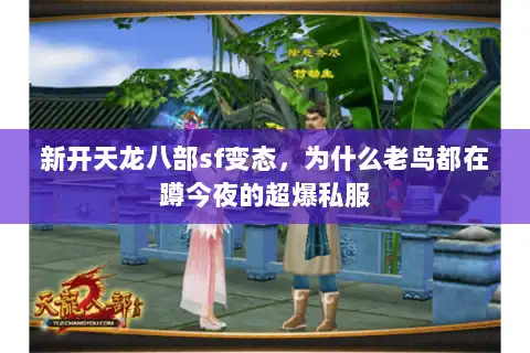 新开天龙八部sf变态，为什么老鸟都在蹲今夜的超爆私服