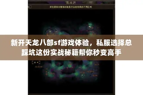 新开天龙八部sf游戏体验，私服选择总踩坑这份实战秘籍帮你秒变高手