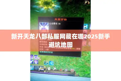 新开天龙八部私服网藏在哪2025新手避坑地图