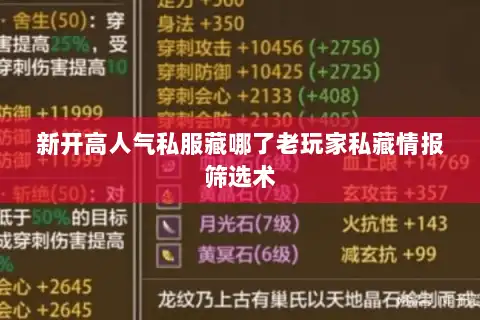新开高人气私服藏哪了老玩家私藏情报筛选术