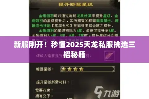 新服刚开！秒懂2025天龙私服挑选三招秘籍