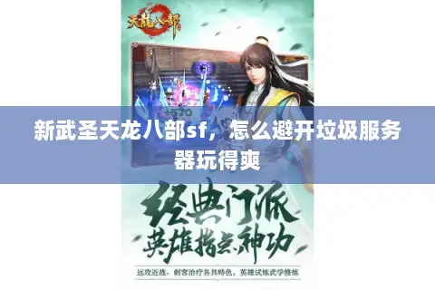 新武圣天龙八部sf,怎么避开垃圾服务器玩得爽 新武圣天龙八部sf,怎么避开垃圾服务器玩得爽