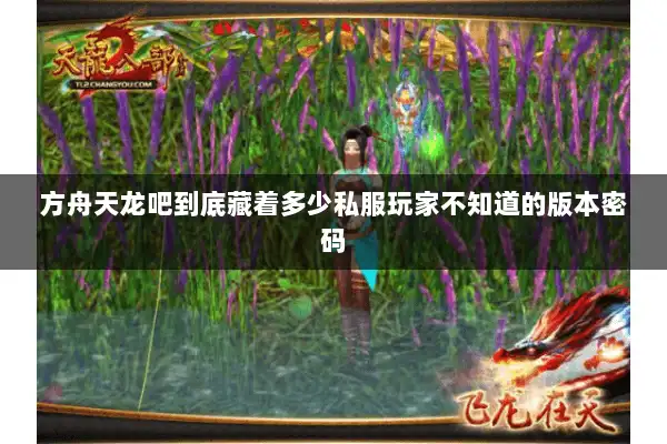 方舟天龙吧到底藏着多少私服玩家不知道的版本密码