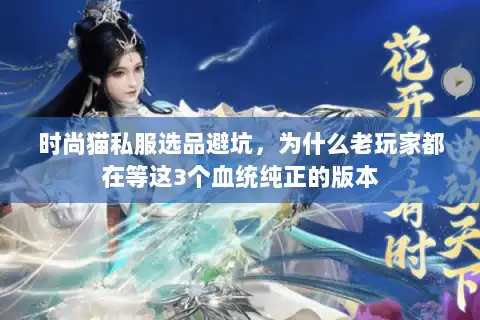 时尚猫私服选品避坑，为什么老玩家都在等这3个血统纯正的版本