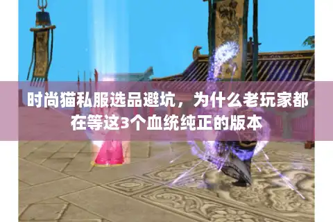 时尚猫私服选品避坑，为什么老玩家都在等这3个血统纯正的版本
