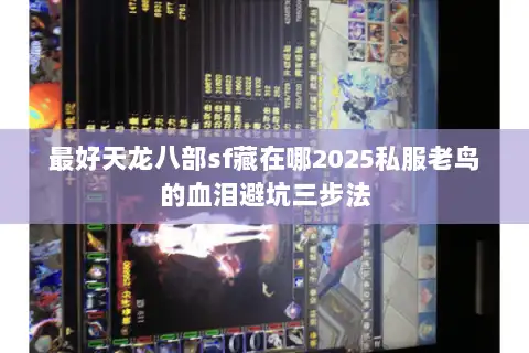 最好天龙八部sf藏在哪2025私服老鸟的血泪避坑三步法 最好天龙八部sf藏在哪2025私服老鸟的血泪避坑三步法