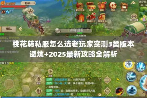 桃花转私服怎么选老玩家实测3类版本避坑+2025最新攻略全解析