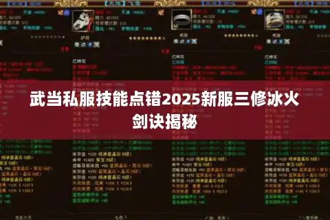武当私服技能点错2025新服三修冰火剑诀揭秘