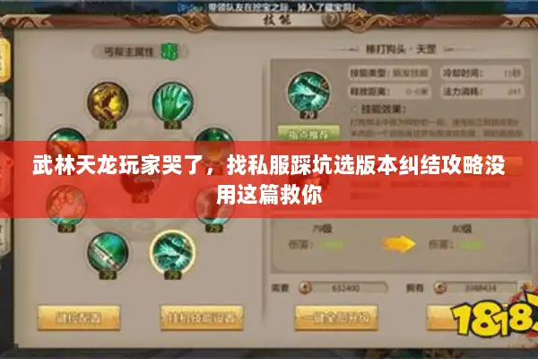 武林天龙玩家哭了，找私服踩坑选版本纠结攻略没用这篇救你