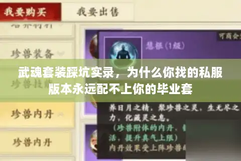 武魂套装踩坑实录，为什么你找的私服版本永远配不上你的毕业套
