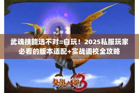 武魂技能选不对=白玩！2025私服玩家必看的版本适配+实战调校全攻略