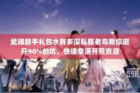 武魂新手礼包水有多深私服老鸟教你避开90%的坑，快速拿满开荒资源