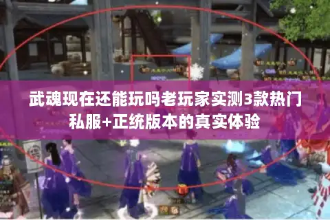 武魂现在还能玩吗老玩家实测3款热门私服+正统版本的真实体验 武魂现在还能玩吗老玩家实测3款热门私服+正统版本的真实体验