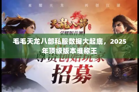毛毛天龙八部私服数据大起底，2025年顶级版本谁称王