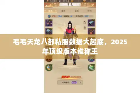 毛毛天龙八部私服数据大起底，2025年顶级版本谁称王