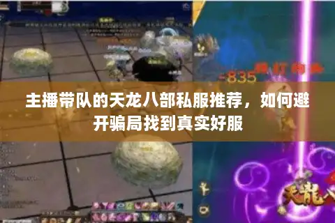主播带队的天龙八部私服推荐，如何避开骗局找到真实好服