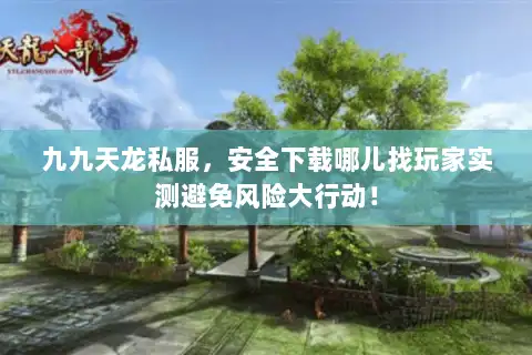 九九天龙私服，安全下载哪儿找玩家实测避免风险大行动！