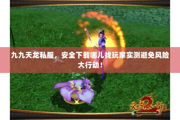 九九天龙私服，安全下载哪儿找玩家实测避免风险大行动！