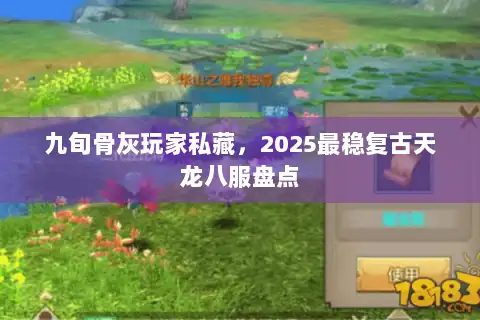 九旬骨灰玩家私藏,2025最稳复古天龙八服盘点 九旬骨灰玩家私藏,2025最稳复古天龙八服盘点
