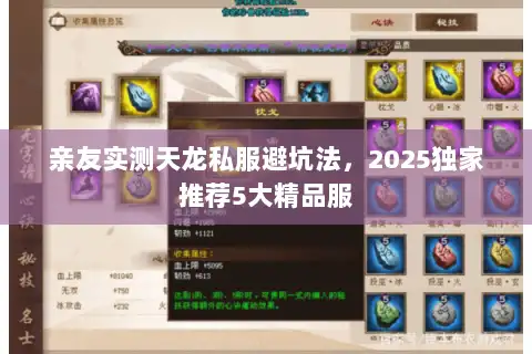 亲友实测天龙私服避坑法,2025独家推荐5大精品服 亲友实测天龙私服避坑法,2025独家推荐5大精品服
