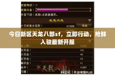 今日新区天龙八部sf，立即行动，抢鲜入驻最新开服