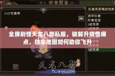 全屏刷怪天龙八部私服，破解升级慢痛点，独家地图如何助你飞升