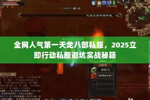 全网人气第一天龙八部私服，2025立即行动私服避坑实战秘籍