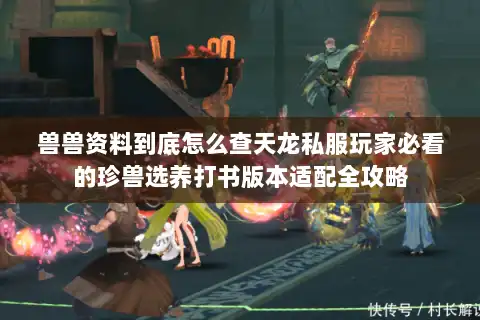 兽兽资料到底怎么查天龙私服玩家必看的珍兽选养打书版本适配全攻略