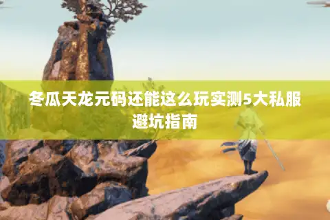 冬瓜天龙元码还能这么玩实测5大私服避坑指南 冬瓜天龙元码还能这么玩实测5大私服避坑指南