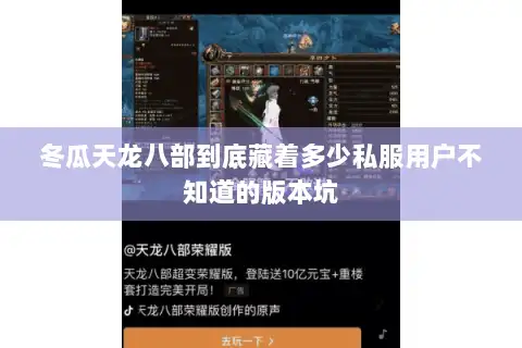 冬瓜天龙八部到底藏着多少私服用户不知道的版本坑