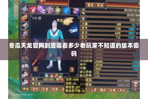 冬瓜天龙官网到底藏着多少老玩家不知道的版本密码