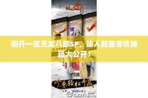 刚开一区天龙八部SF，速入新服零坑秘籍大公开！