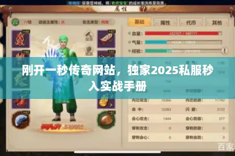 刚开一秒传奇网站，独家2025私服秒入实战手册