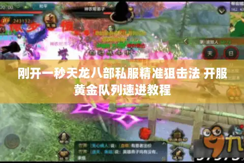 刚开一秒天龙八部私服精准狙击法 开服黄金队列速进教程