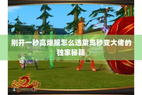 刚开一秒高爆服怎么选菜鸟秒变大佬的独家秘籍