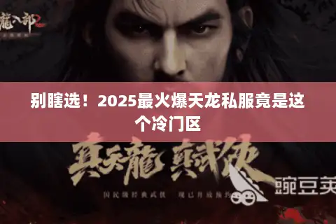 别瞎选！2025最火爆天龙私服竟是这个冷门区