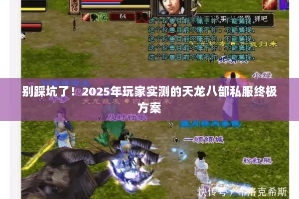 别踩坑了！2025年玩家实测的天龙八部私服终极方案