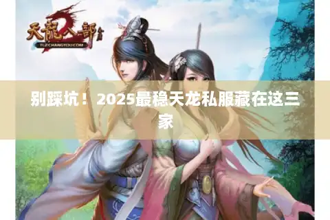 别踩坑！2025最稳天龙私服藏在这三家