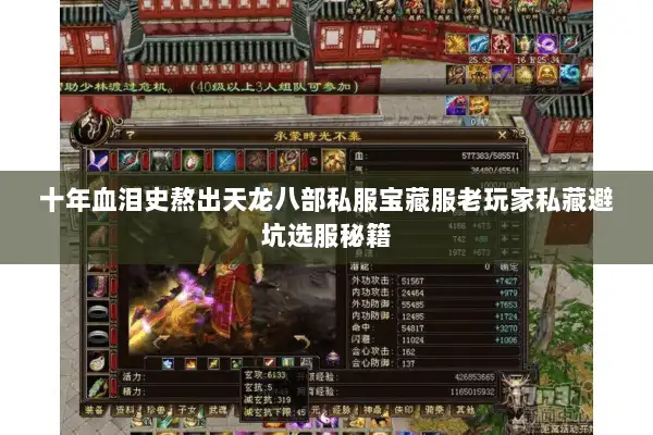 十年血泪史熬出天龙八部私服宝藏服老玩家私藏避坑选服秘籍