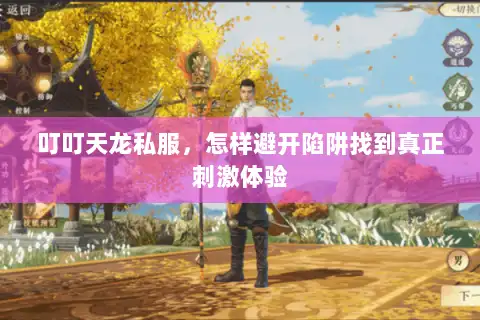 叮叮天龙私服,怎样避开陷阱找到真正刺激体验 叮叮天龙私服,怎样避开陷阱找到真正刺激体验