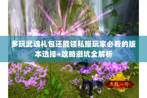 多玩武魂礼包还能领私服玩家必看的版本选择+攻略避坑全解析 多玩武魂礼包还能领私服玩家必看的版本选择+攻略避坑全解析