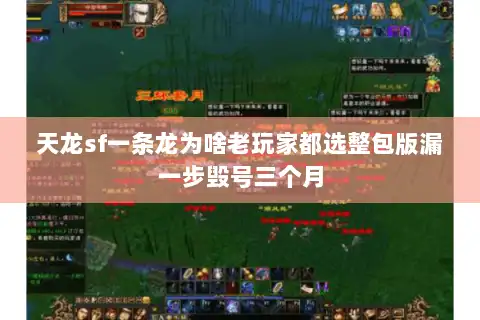 天龙sf一条龙为啥老玩家都选整包版漏一步毁号三个月